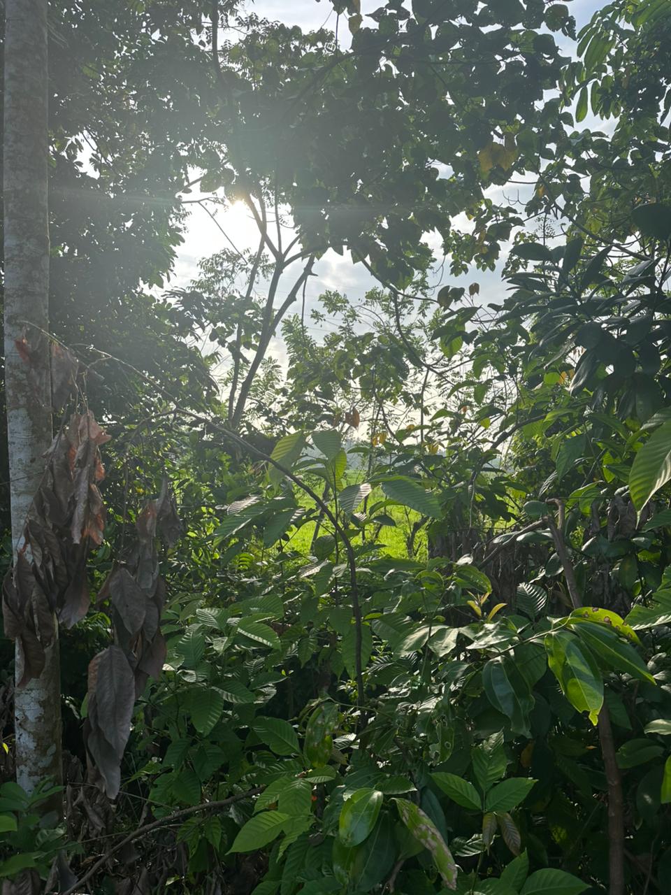 Land for Sale Near Karapitiya