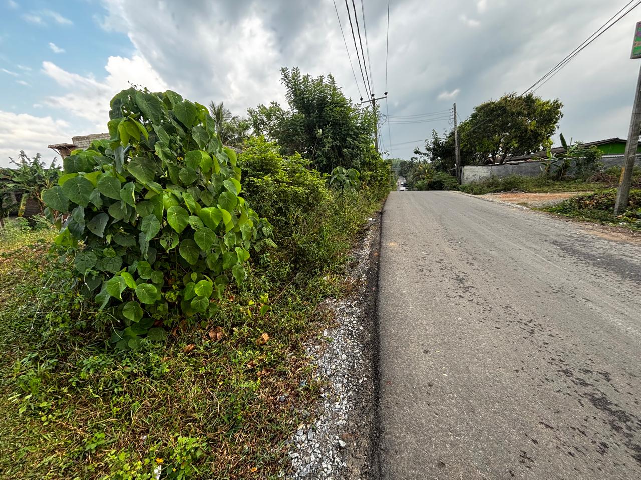 Land for Sale in Meegoda, Homagama