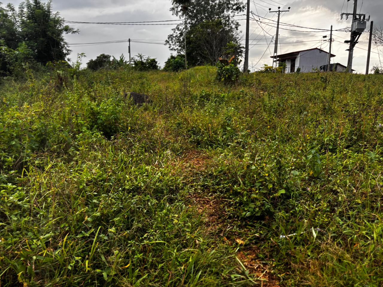 Land for Sale in Meegoda, Homagama