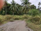 Bare Land for Sale- Minuwangoda