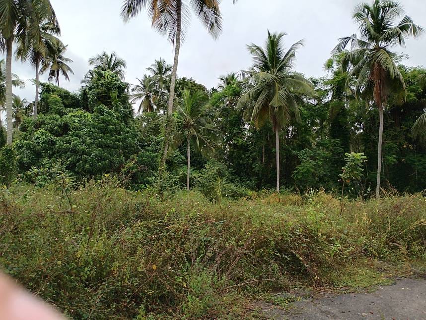 Bare Land for Sale- Minuwangoda