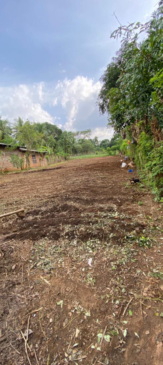 Land for Sale in Bibile