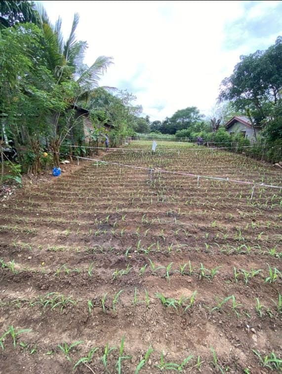 Land for Sale in Bibile