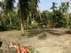 Wadduwa Weragama Land for Sale