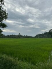 WhatsApp-Image-2026-01-20-at-12.18.36-1