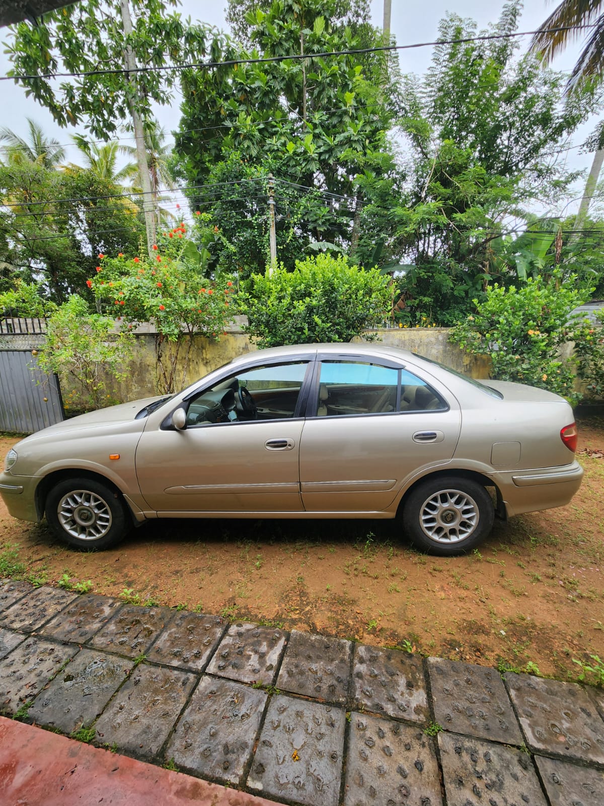 Nissan Sunny 2002 Super Saloon