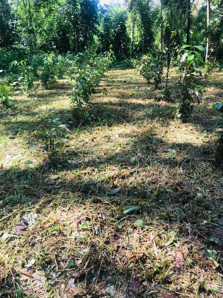 Land for Sale Padukka, Bope