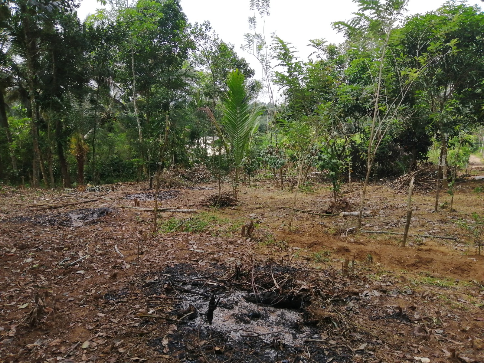 Land for Sale Padukka, Bope