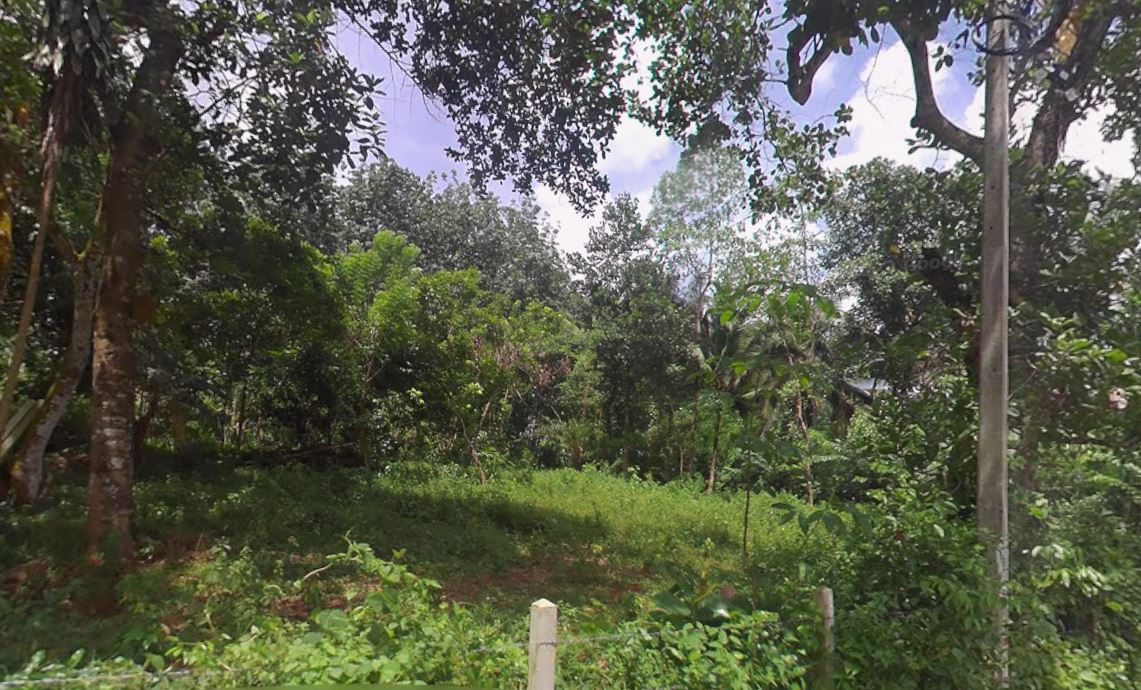 Land for Sale Padukka, Bope