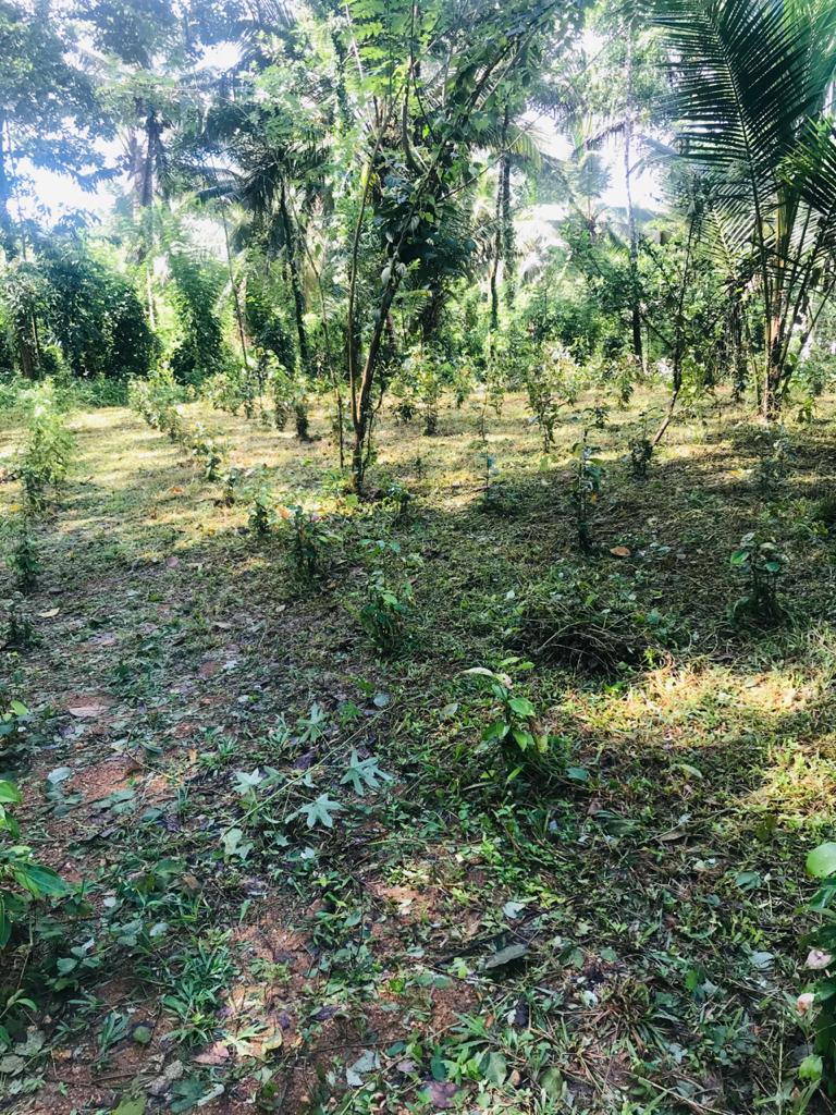 Land for Sale Padukka, Bope