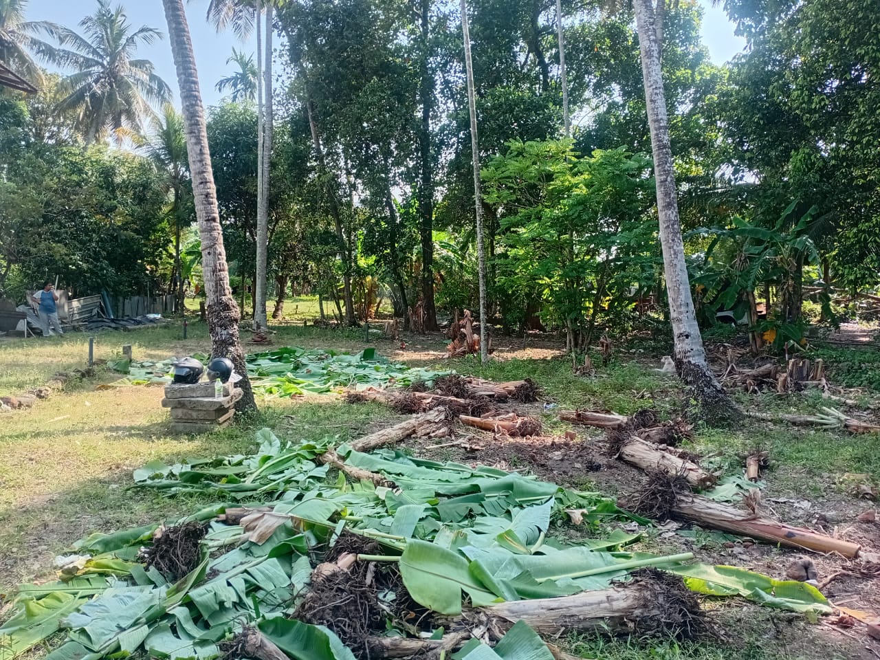 Land for Sale in Kolonnawa