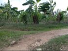 Land For Sale In Amblipitiya