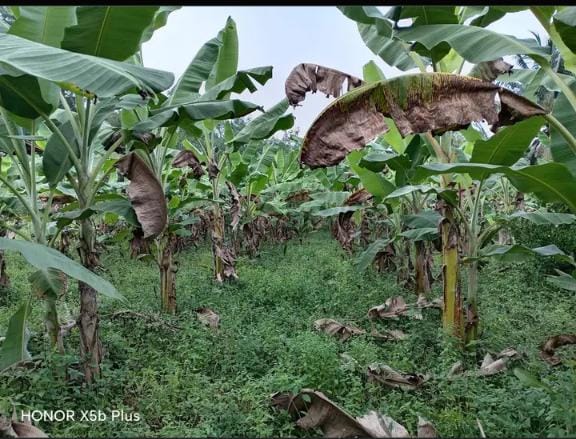 Land For Sale In Amblipitiya