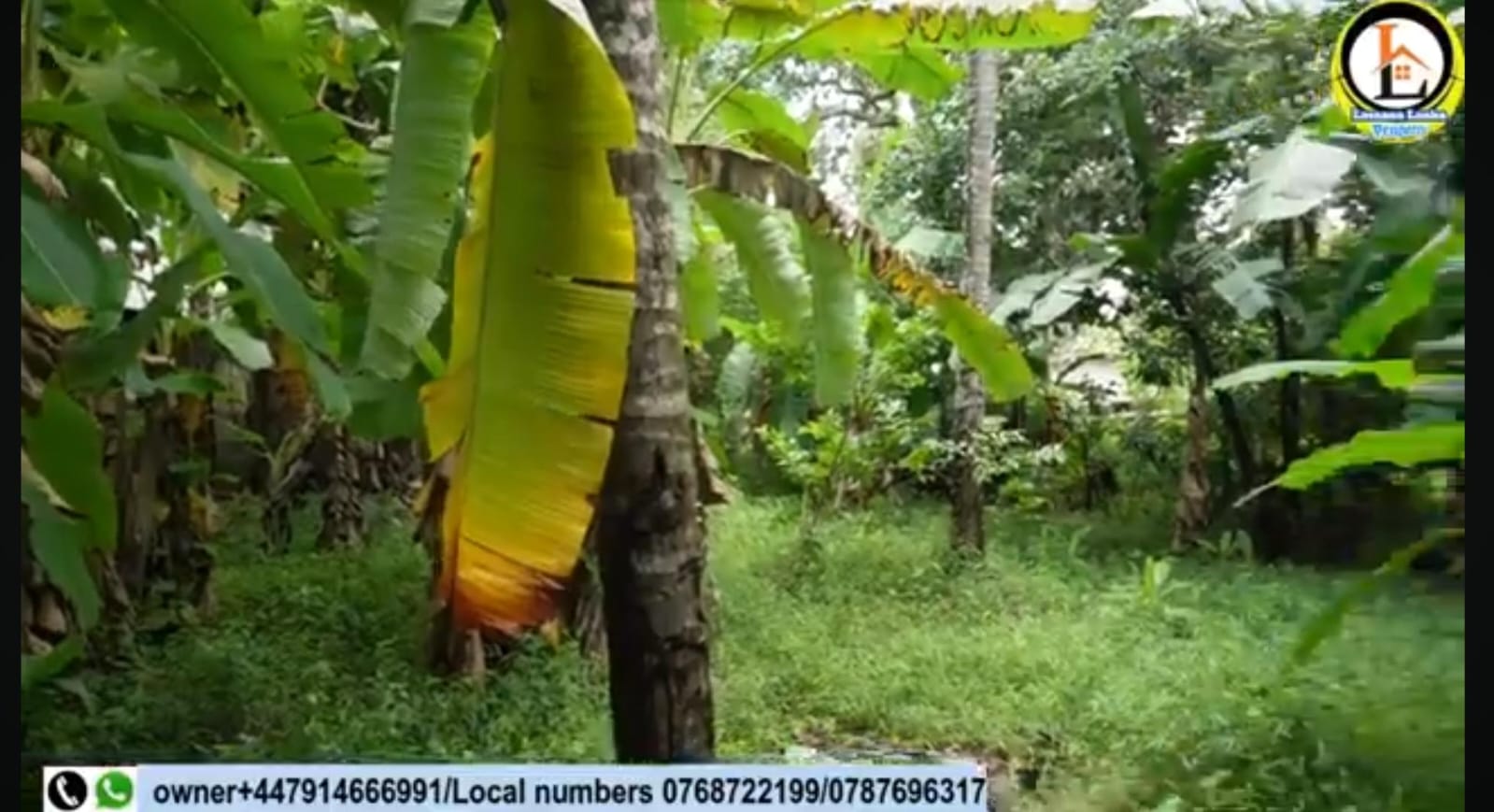 Valuble Land For Sale Balummahara