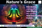 Natures Grace Wellness- Reiki and Tarot