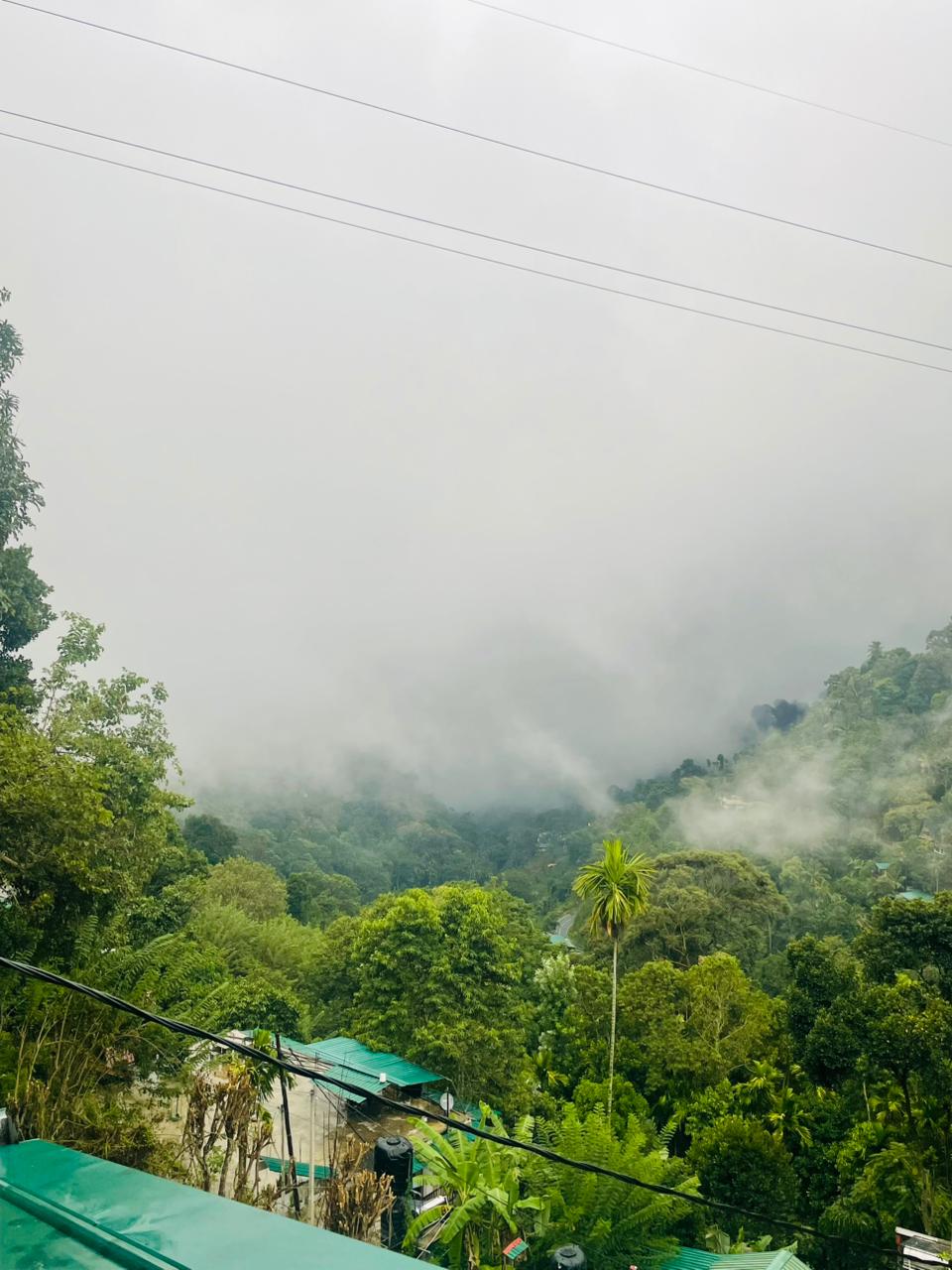 Hotel for Sale in Ella