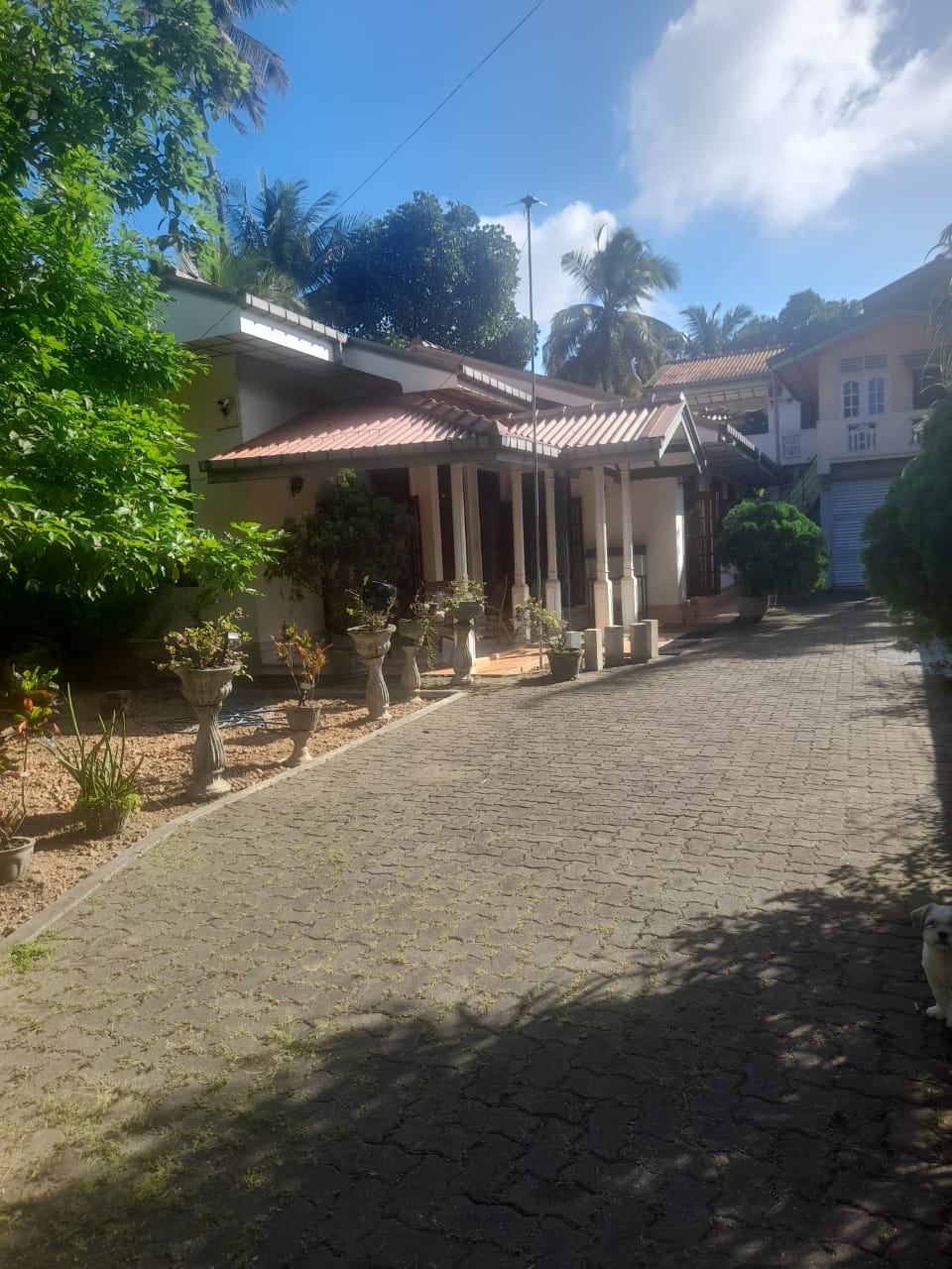 සීදූව නගරයේ පර්චස් 20 ඉඩම අංග සම්පූර්ණ නිවස සමග විකිණීමට.