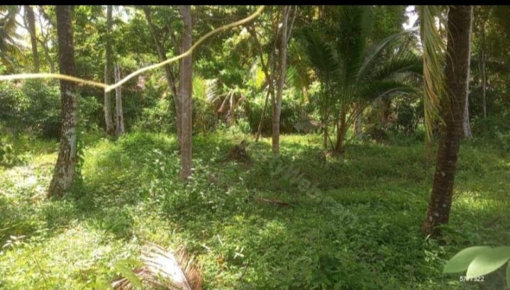 Land for Sale – Kuliyapitiya