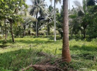 WhatsApp-Image-2026-01-22-at-4.37.03-PM