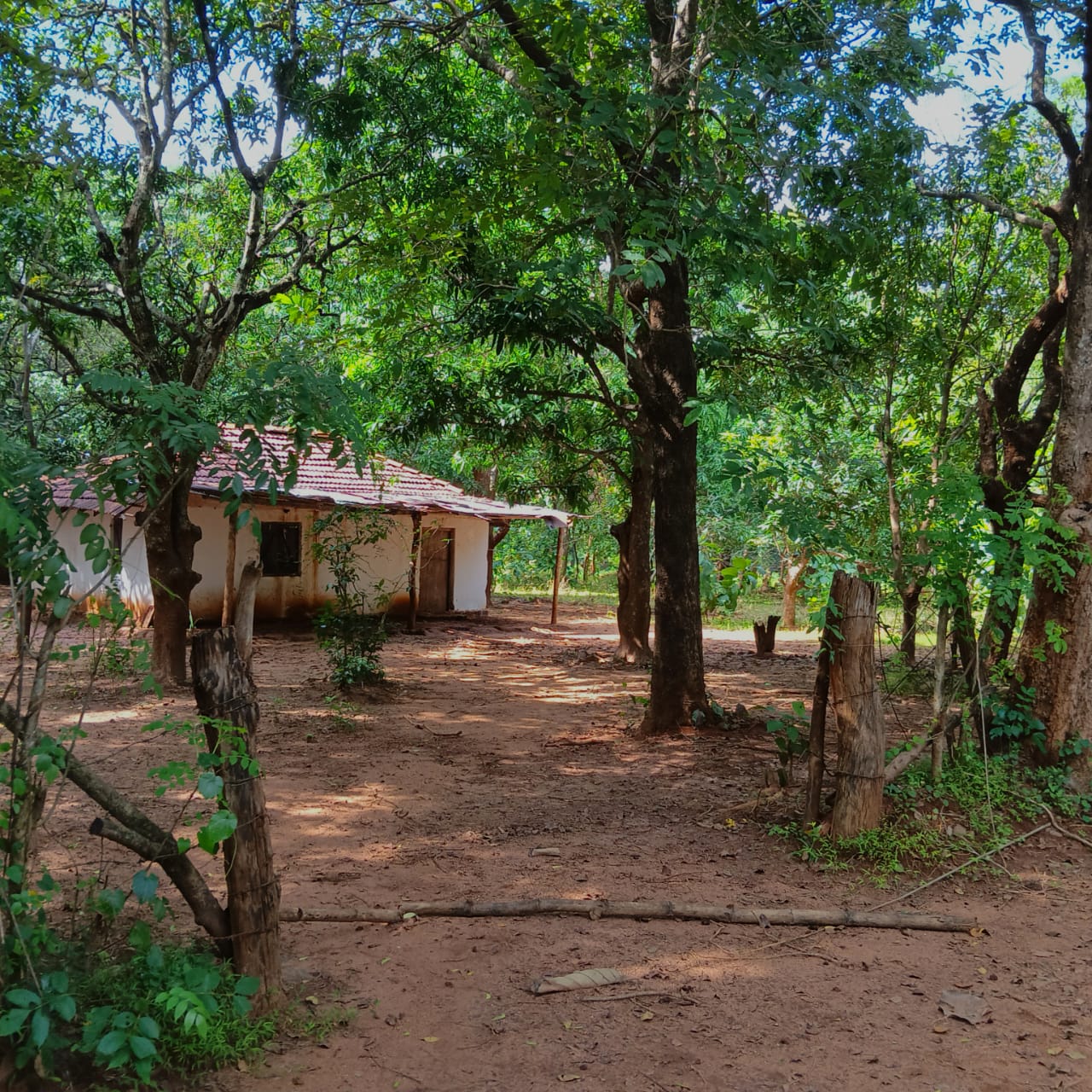 Land for Sale – Sigiriya