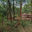 Land for Sale – Sigiriya