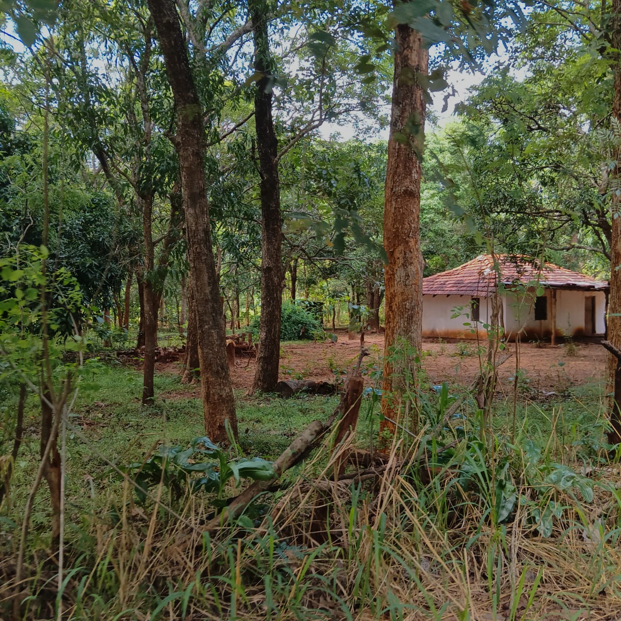 Land for Sale – Sigiriya