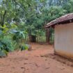 Land for Sale – Sigiriya