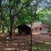 Land for Sale – Sigiriya