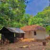Land for Sale – Sigiriya