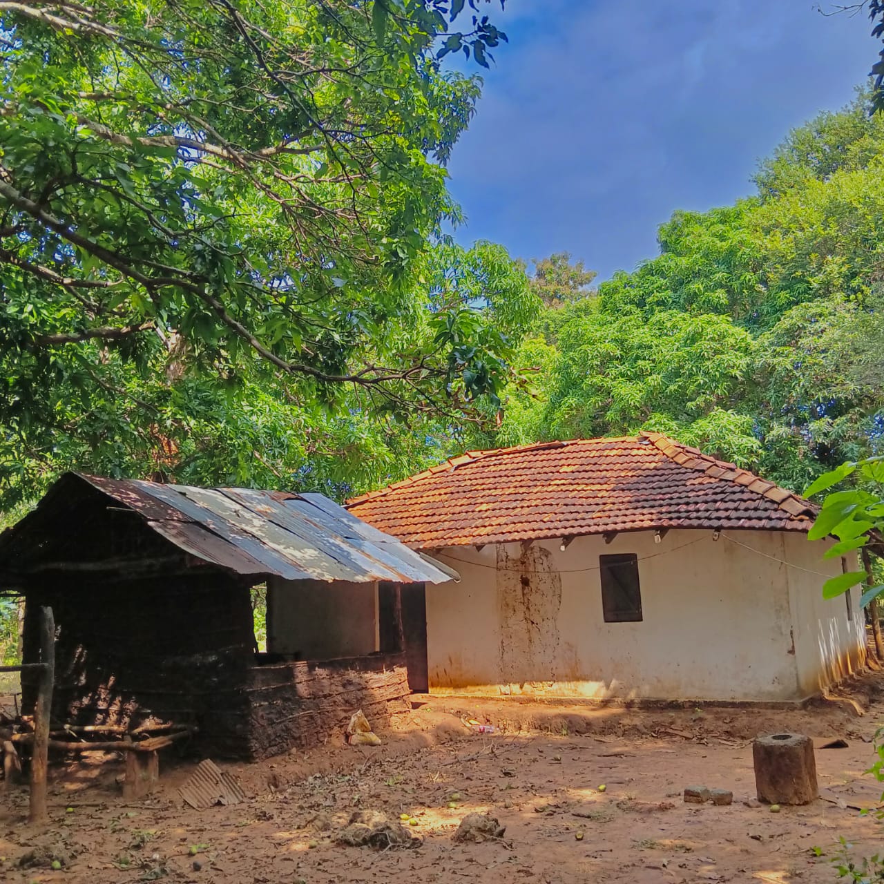 Land for Sale – Sigiriya