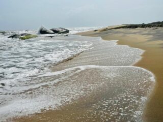 WhatsApp-Image-2026-01-23-at-10.51.13-AM