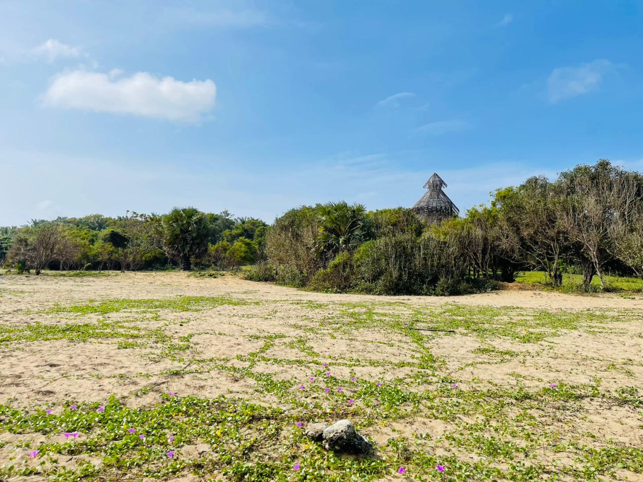 Land for Sale Pottuvil