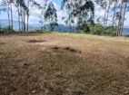 Land for Sale – Bandarawela