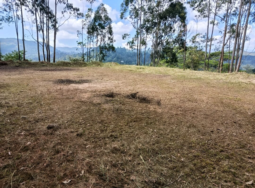 Land for Sale – Bandarawela