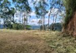 Land for Sale – Bandarawela