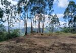 Land for Sale – Bandarawela