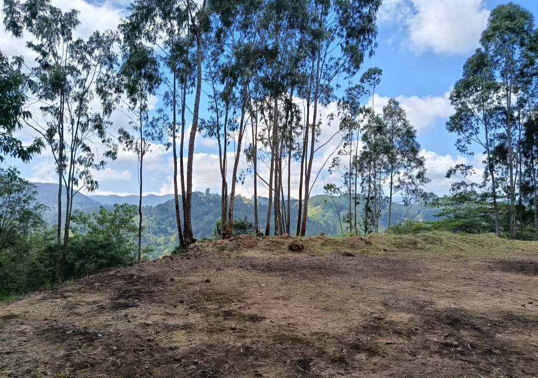 Land for Sale – Bandarawela