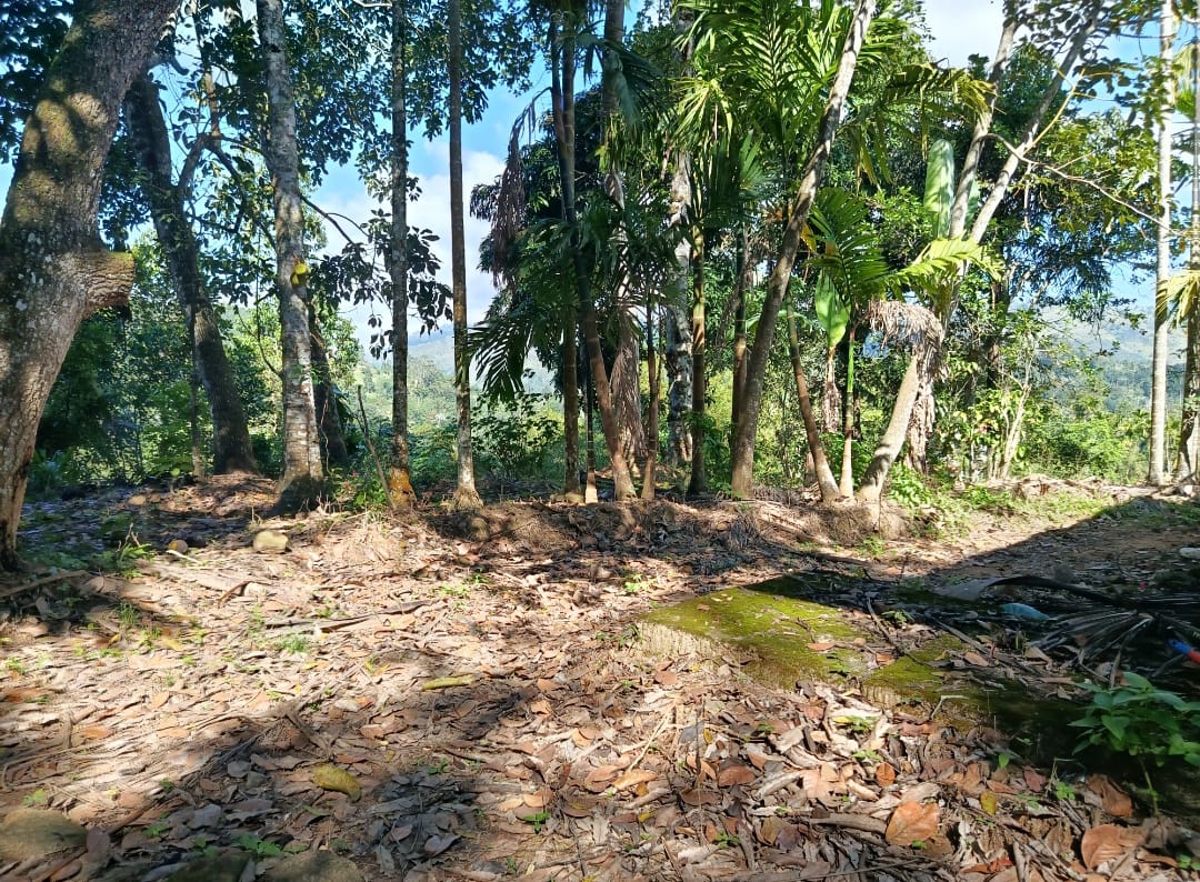 Land for sale in Ella