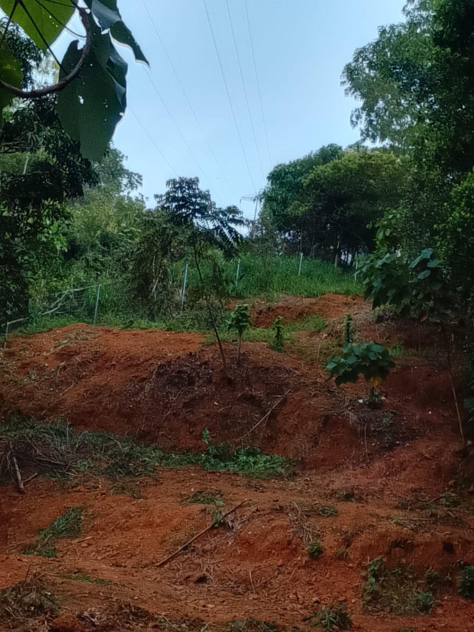Gampola 23.07 Perches Land for Sale