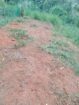 Gampola 23.07 Perches Land for Sale
