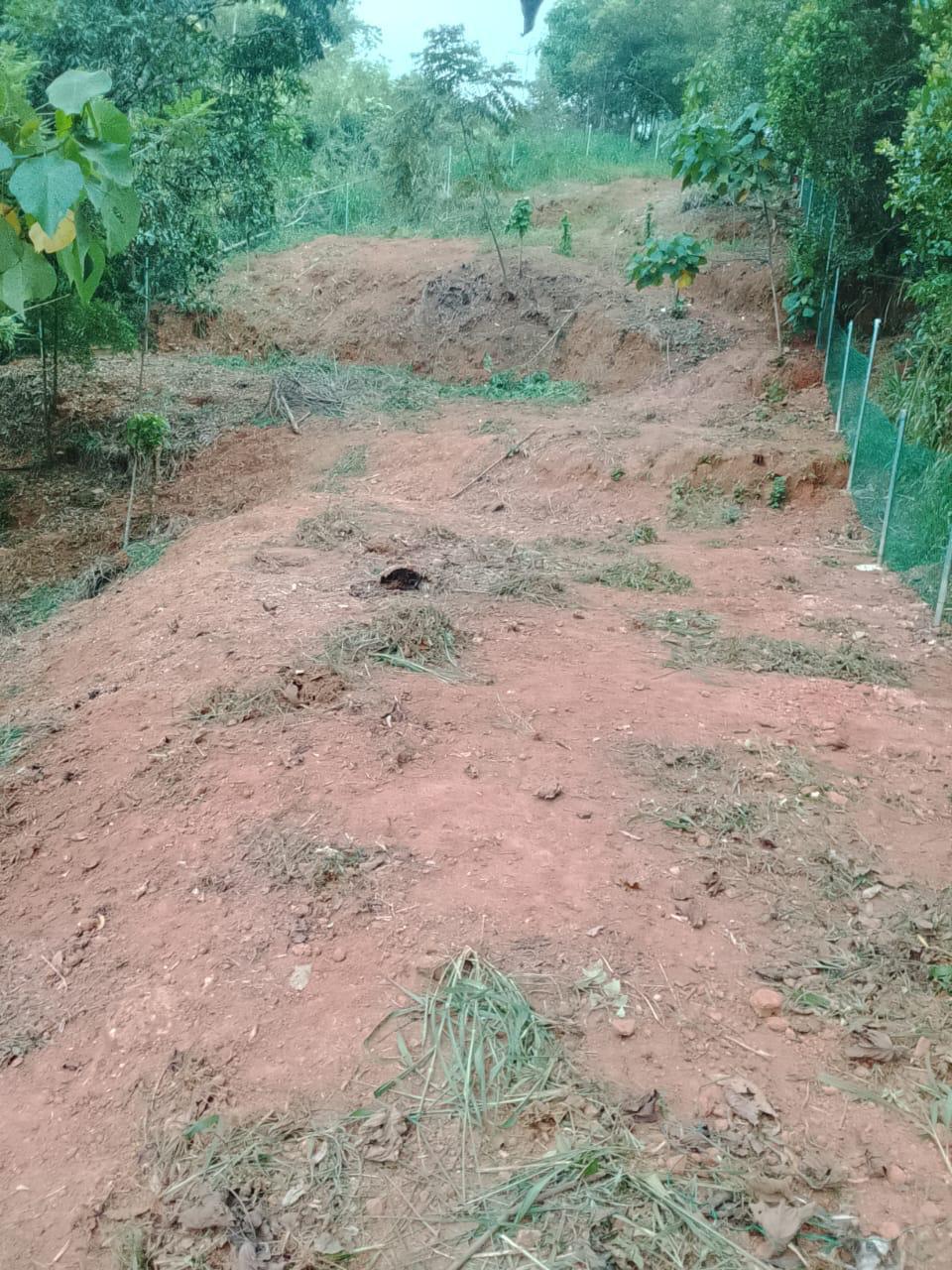 Gampola 23.07 Perches Land for Sale
