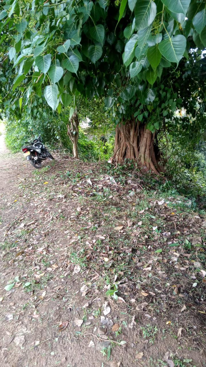 40 Perch Land for Sale Digana