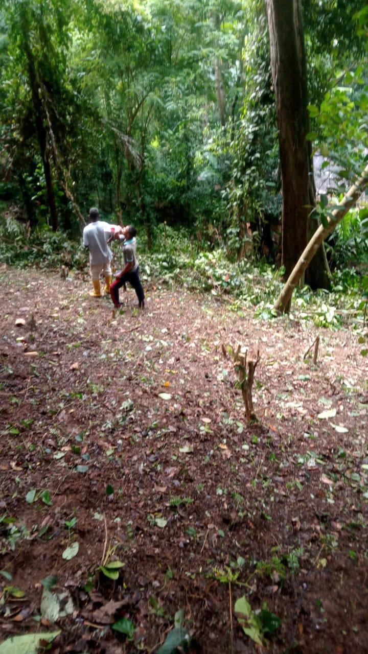 40 Perch Land for Sale Digana