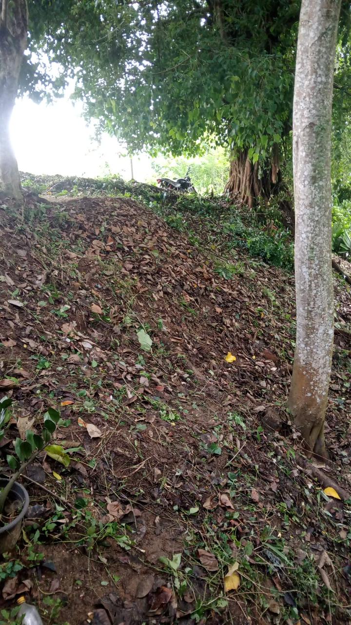 40 Perch Land for Sale Digana