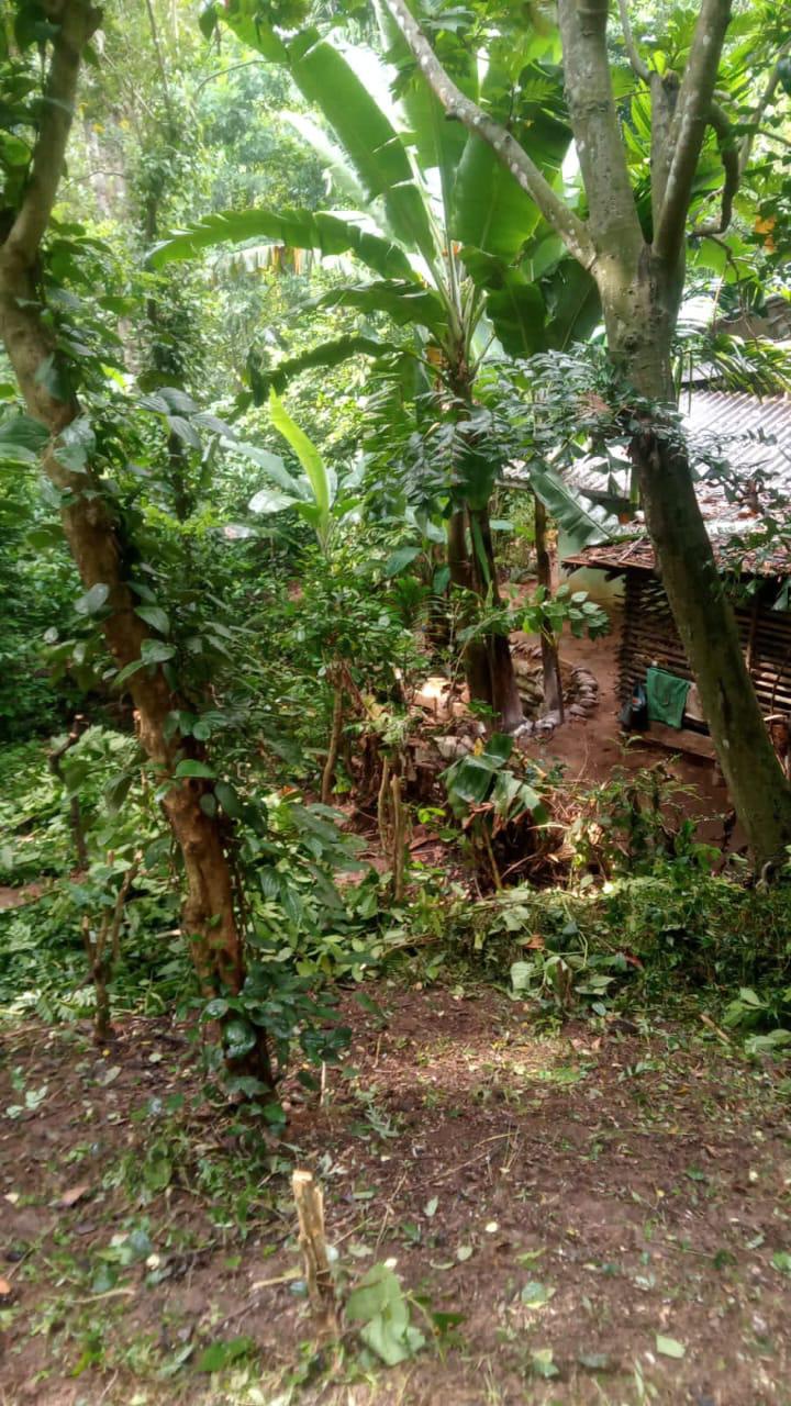 40 Perch Land for Sale Digana