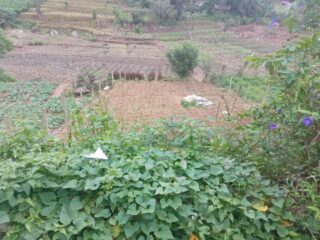 WhatsApp-Image-2026-01-27-at-12.47.04-PM-1