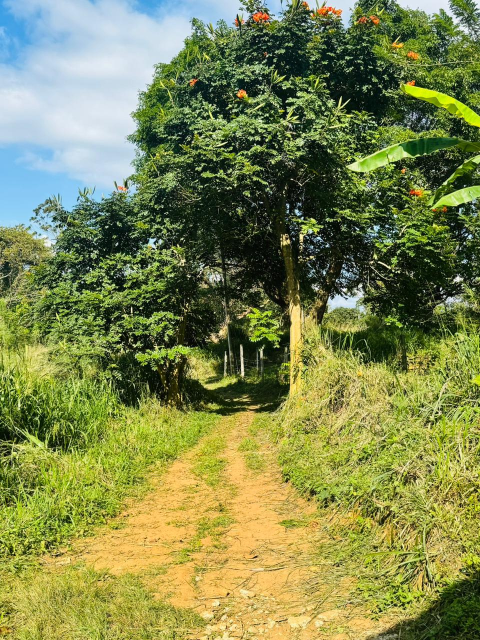 House for Sale Uduwela