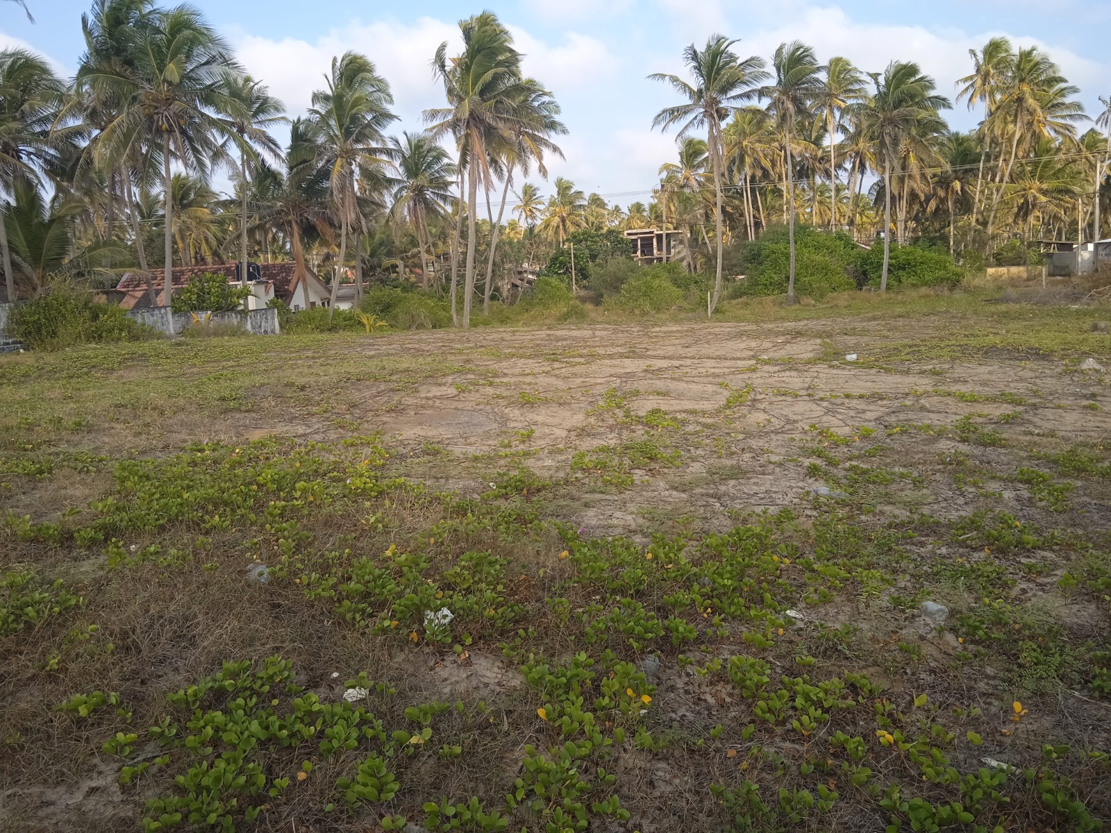 Beach Front Land in Negombo