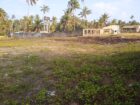 Beach Front Land in Negombo