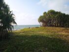 Beach Front Land in Negombo